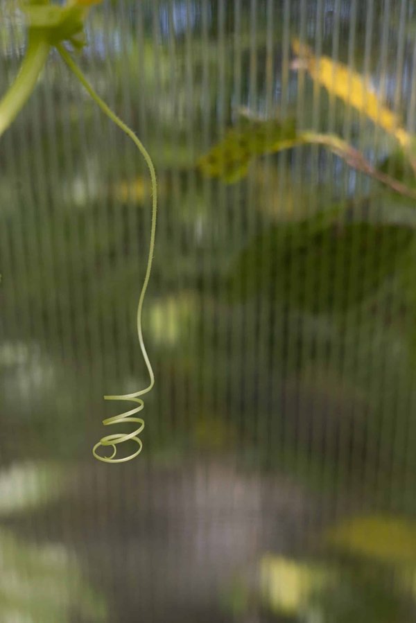 Comment les entreprises de prêt-à-porter peuvent-elles s'adapter aux exigences de la mode éthique et durable ?